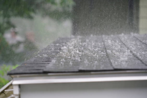 Best Roof Coating and Sealing  in Coldwater, OH